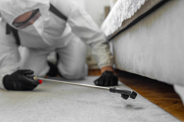 Professional Bed Bug Control technician working in Needville, TX